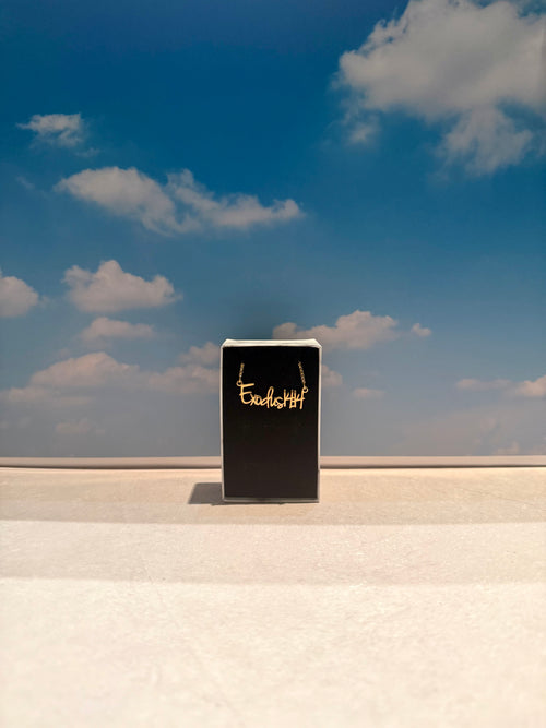 Exodus 14:14 Necklace